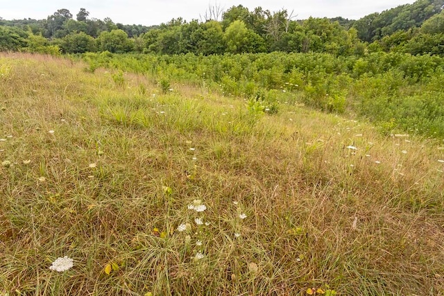 view of nature