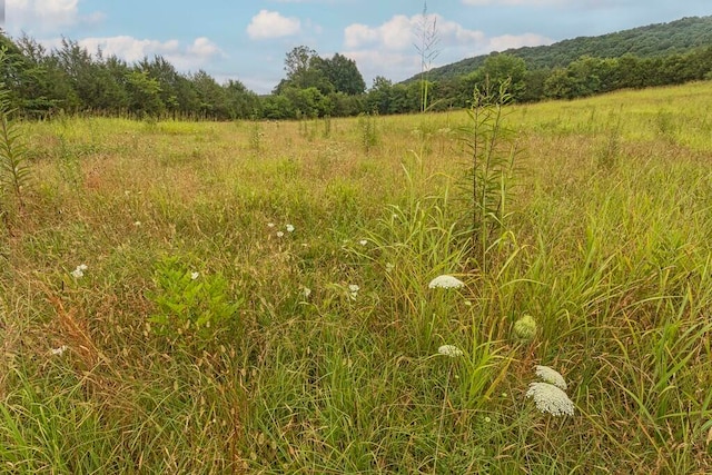 view of landscape with a rural view