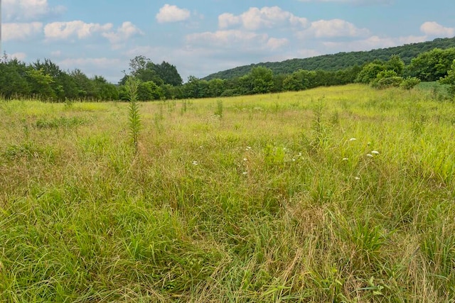 view of landscape featuring a rural view