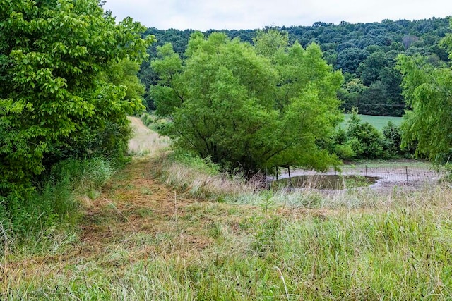 view of landscape featuring a rural view