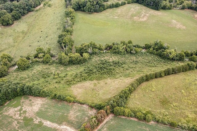 birds eye view of property featuring a rural view