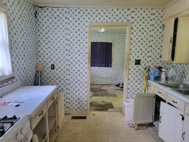 bathroom with ornamental molding and sink