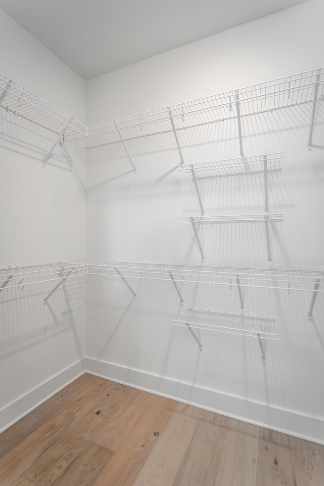 walk in closet featuring wood-type flooring