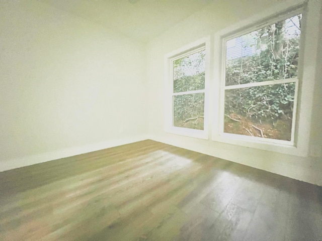 spare room featuring wood-type flooring