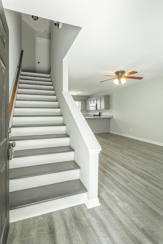 stairs featuring ceiling fan and hardwood / wood-style flooring