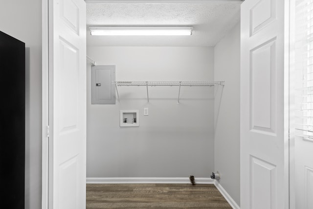 washroom with electric panel, hookup for a washing machine, wood-type flooring, and a textured ceiling