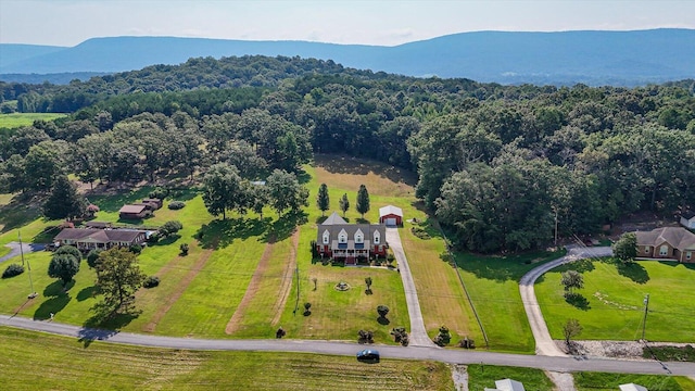 drone / aerial view with a mountain view