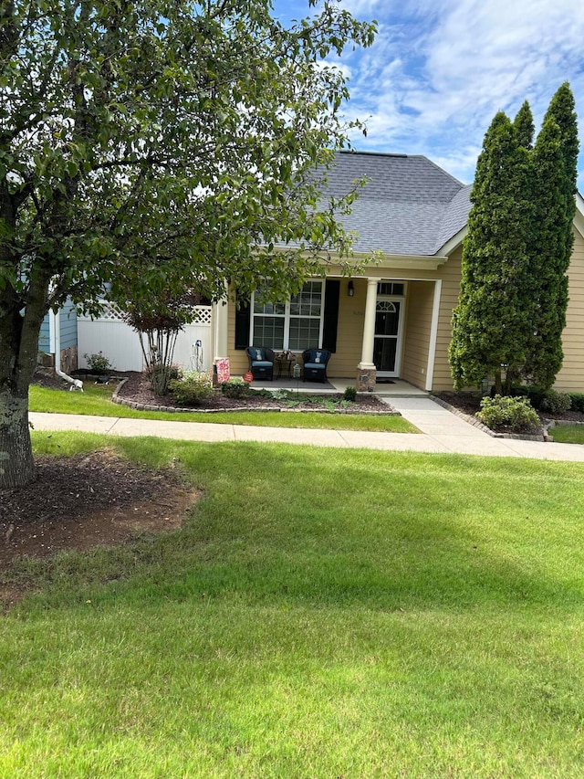 view of property hidden behind natural elements with a front lawn