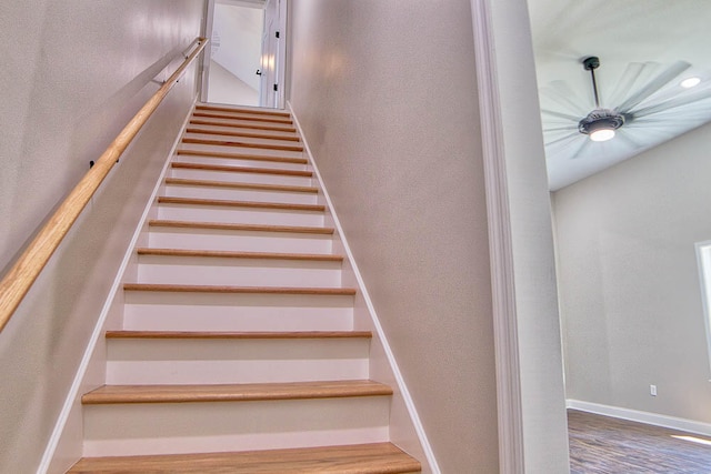 stairway with hardwood / wood-style floors