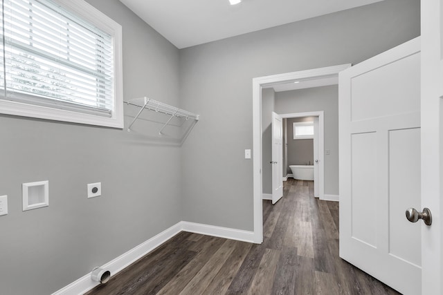 laundry room featuring hookup for an electric dryer, dark hardwood / wood-style flooring, and a healthy amount of sunlight