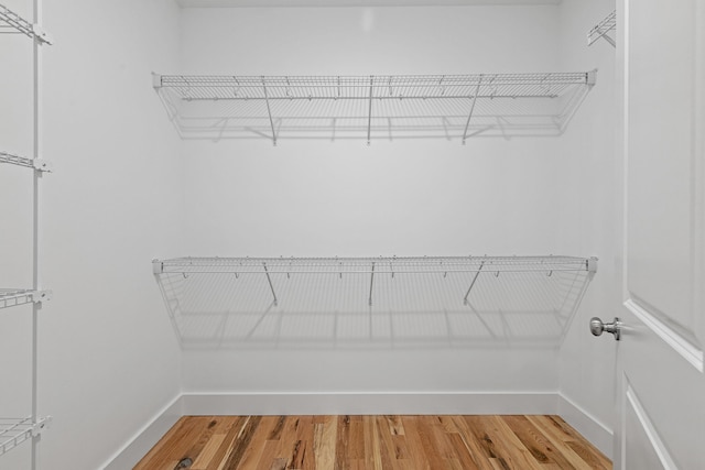 spacious closet with wood-type flooring