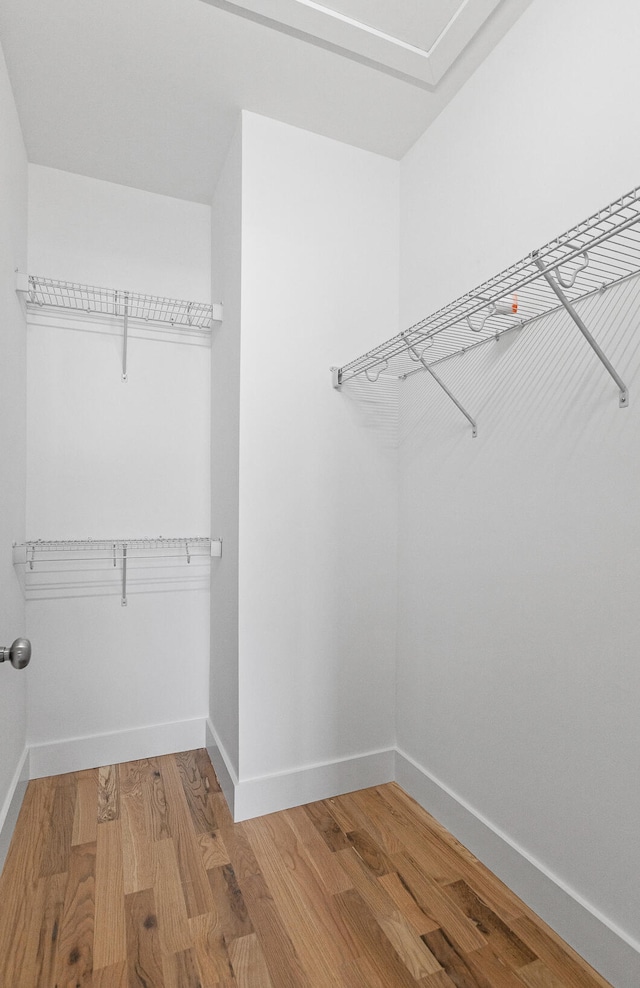 spacious closet featuring hardwood / wood-style floors