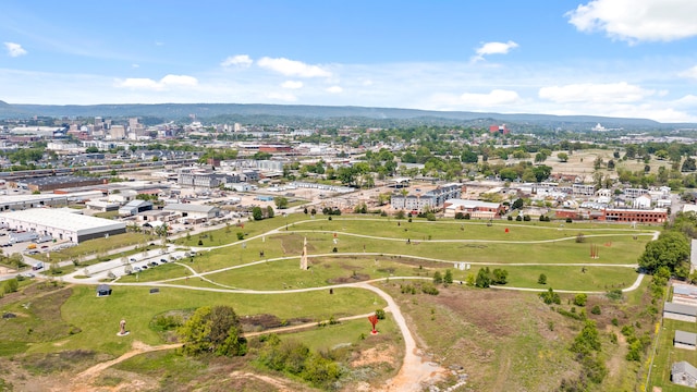 birds eye view of property featuring a mountain view