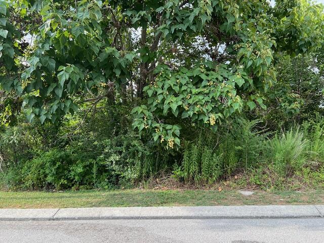 21182112 Short Leaf Ln Lots 6667, Soddy Daisy, TN 37379 - photo 2