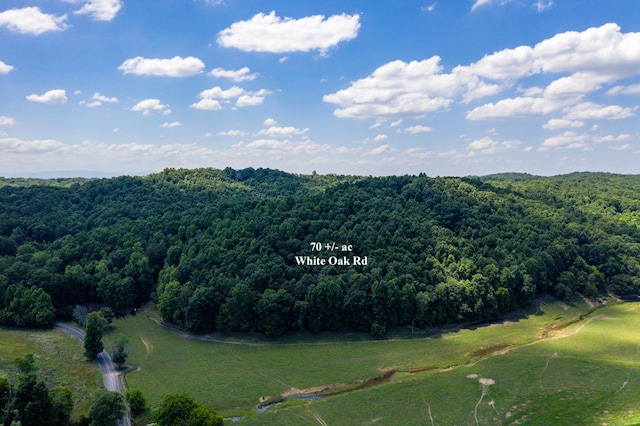 1636 NW White Oak Rd, Cleveland TN, 37312 land for sale