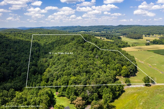1636 White Oak Rd NW, Cleveland, TN 37312 - photo 5
