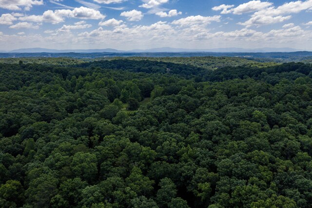 1636 White Oak Rd NW, Cleveland, TN 37312 - photo 38