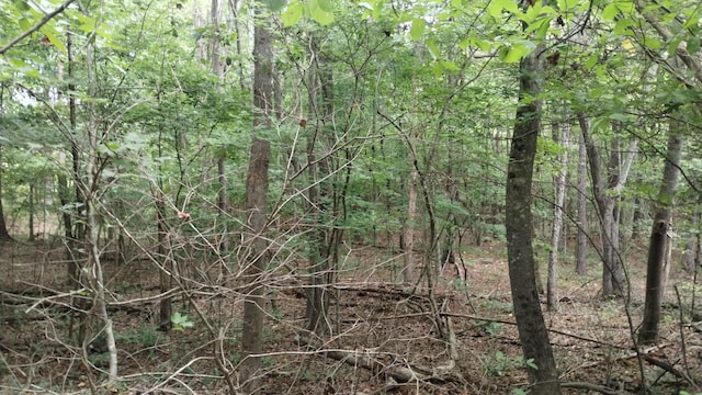 0 Houston Valley Rd, Ringgold, GA 30736 - photo 2