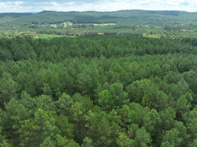 0 Houston Valley Rd, Ringgold, GA 30736 - photo 3