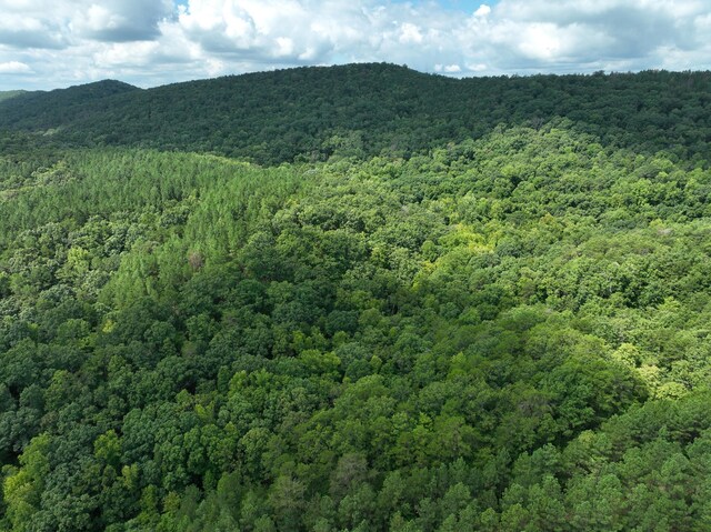 0 Houston Valley Rd, Ringgold, GA 30736 - photo 7
