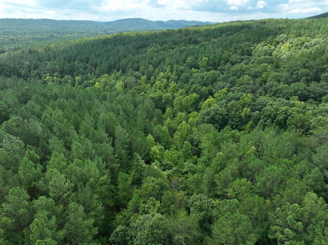 0 Houston Valley Rd, Ringgold, GA 30736 - photo 8