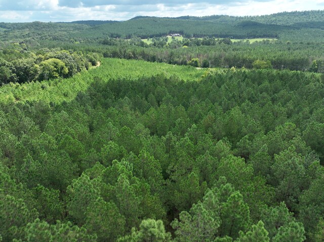 0 Houston Valley Rd, Ringgold, GA 30736 - photo 9