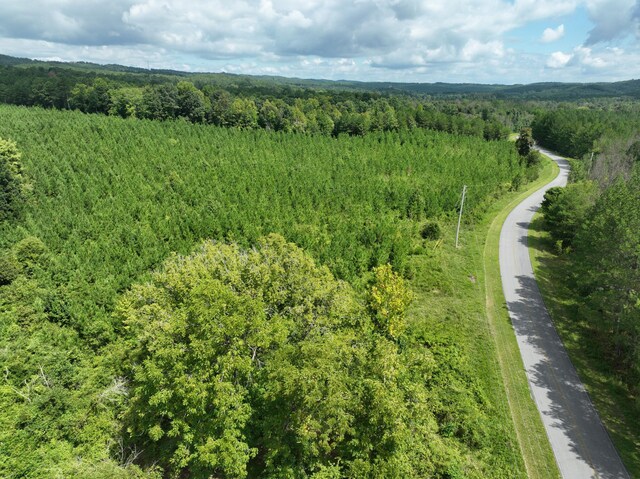 0 Houston Valley Rd, Ringgold, GA 30736 - photo 10