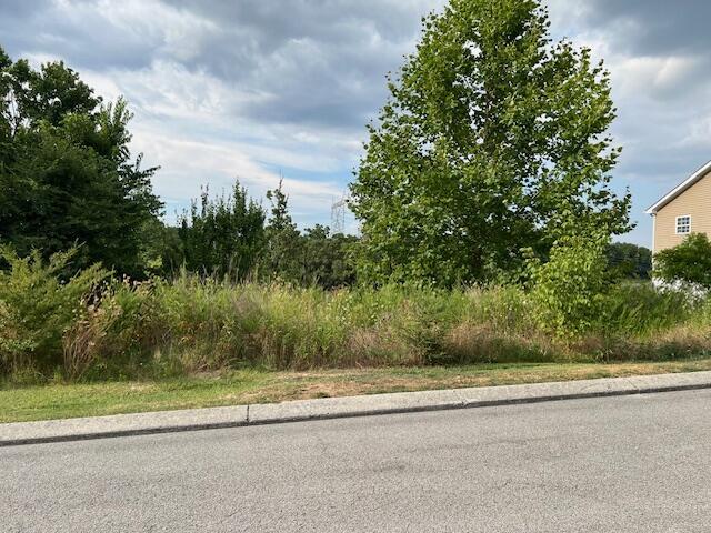 21362124 Short Leaf Ln Lots 6869, Soddy Daisy, TN 37379 - photo 1