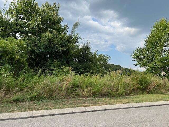 21362124 Short Leaf Ln Lots 6869, Soddy Daisy, TN 37379 - photo 2