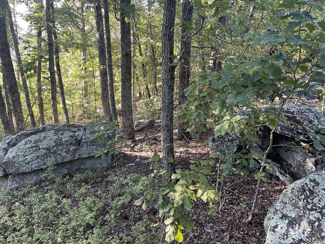 2822 Waterfall Trl, Ooltewah, TN 37363