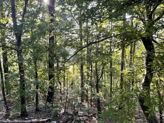 2822 Waterfall Trl, Ooltewah, TN 37363