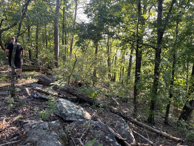 2822 Waterfall Trl, Ooltewah, TN 37363