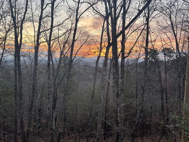 2822 Waterfall Trl, Ooltewah, TN 37363