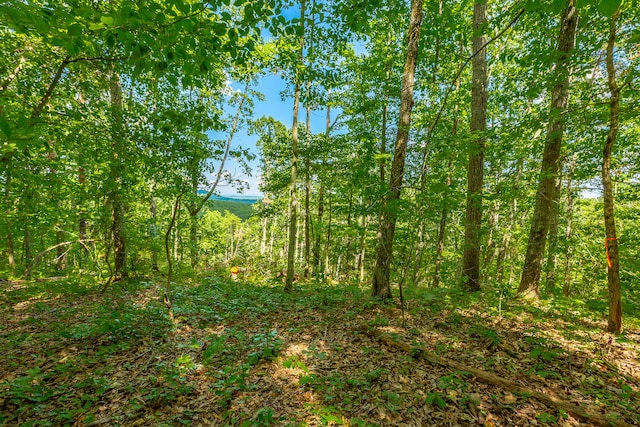 Listing photo 3 for 0 Clearview Dr Lot 1, Ringgold GA 30736