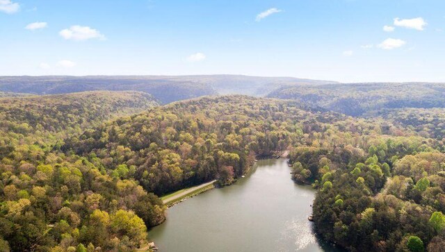 2269 Little Bend Rd Unit 162, Signal Mountain, TN 37377 - photo 4