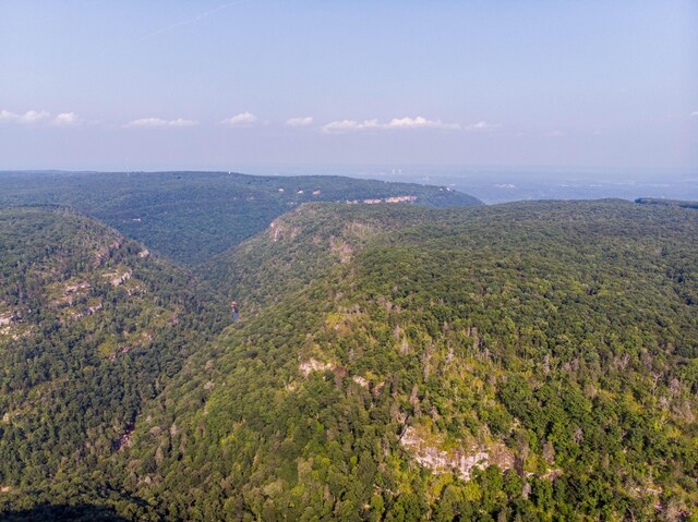 2269 Little Bend Rd Unit 162, Signal Mountain, TN 37377 - photo 13
