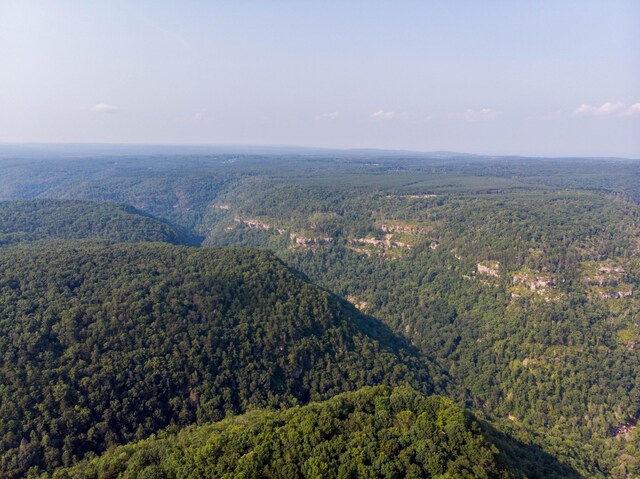 2269 Little Bend Rd Unit 162, Signal Mountain, TN 37377 - photo 14