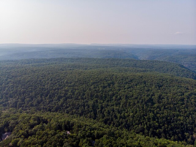 2269 Little Bend Rd Unit 162, Signal Mountain, TN 37377 - photo 15