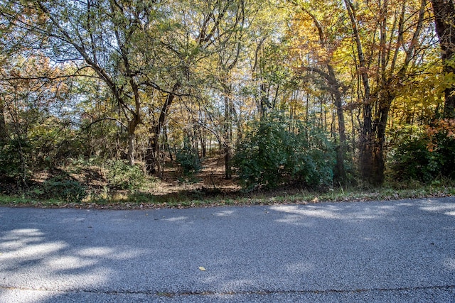 3132 Seminole Loop Unit 4106, Crossville, TN 38572 - photo 11