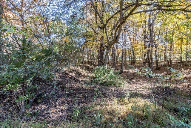 3132 Seminole Loop Unit 4106, Crossville, TN 38572 - photo 10