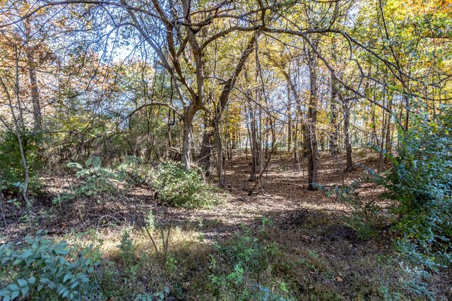 3132 Seminole Loop Unit 4106, Crossville, TN 38572 - photo 6