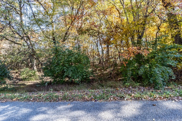 3132 Seminole Loop Unit 4106, Crossville, TN 38572 - photo 5