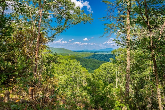0 Clearview Dr Lot 3, Ringgold, GA 30736