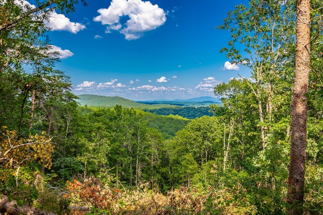 0 Clearview Dr Lot 3, Ringgold, GA 30736