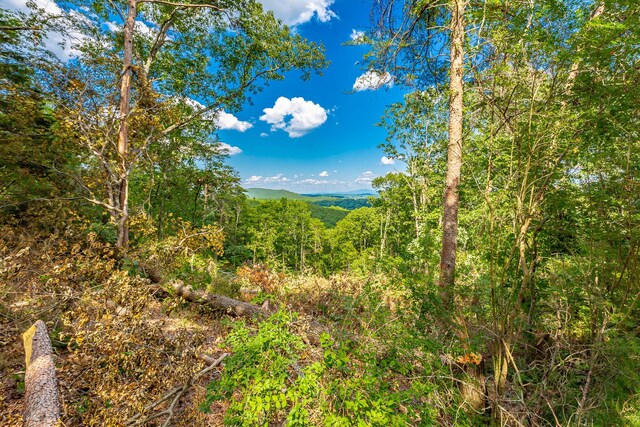 0 Clearview Dr Lot 3, Ringgold, GA 30736