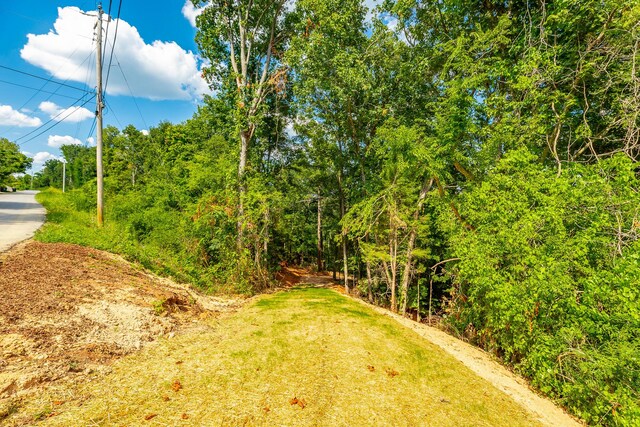 0 Clearview Dr Lot 3, Ringgold, GA 30736