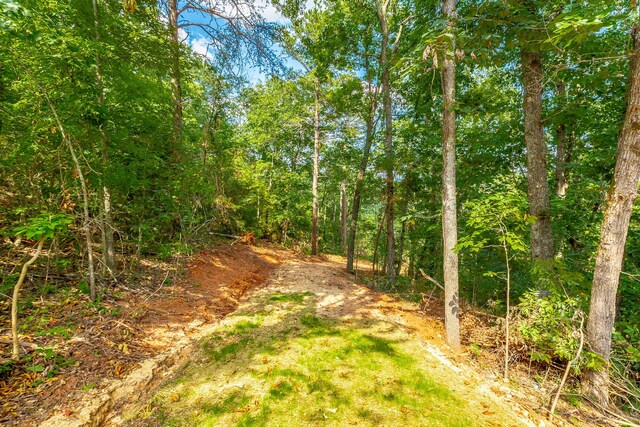 0 Clearview Dr Lot 3, Ringgold, GA 30736