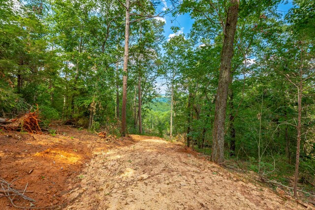 0 Clearview Dr Lot 3, Ringgold, GA 30736