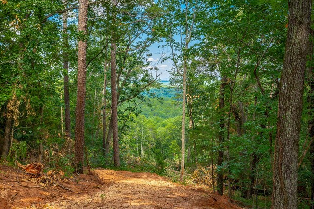 0 Clearview Dr Lot 3, Ringgold, GA 30736
