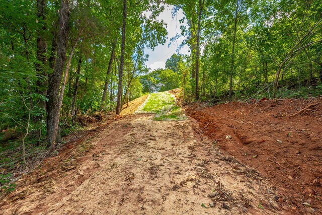 0 Clearview Dr Lot 3, Ringgold, GA 30736